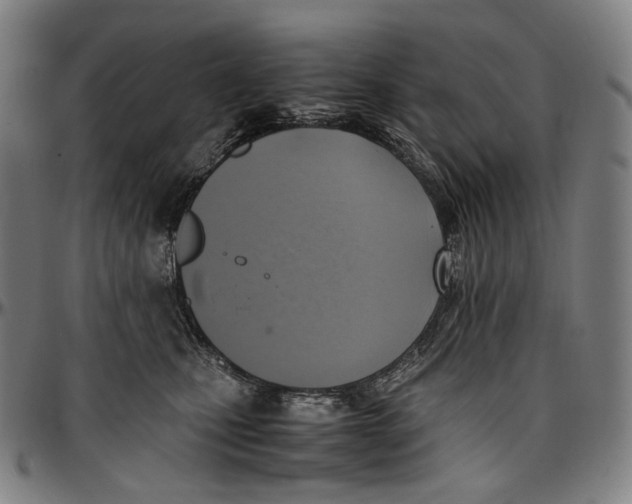 X0000096960471200802291125