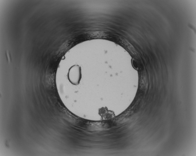 X0000096960473200802291125