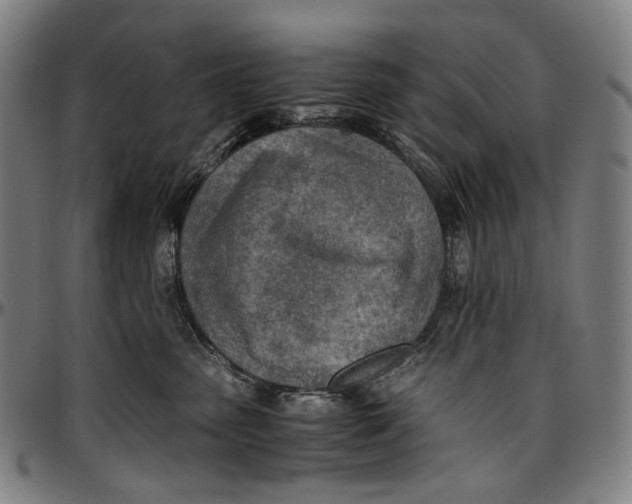 X0000096960475200802291125