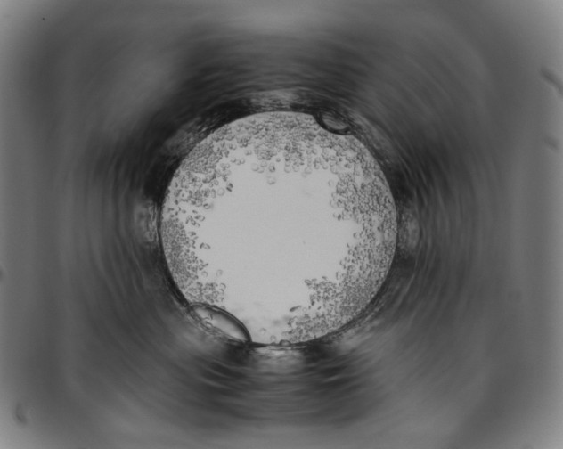 X0000096960477200802291125