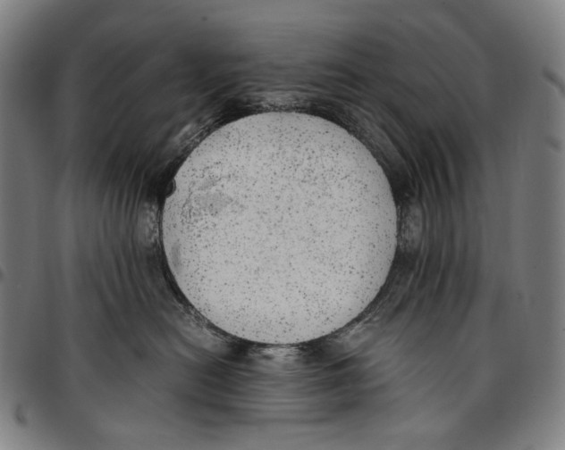 X0000096960478200802291125