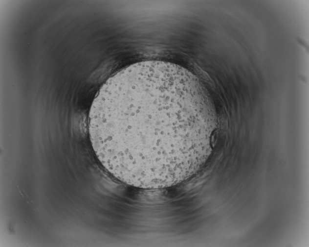 X0000096960479200802291125