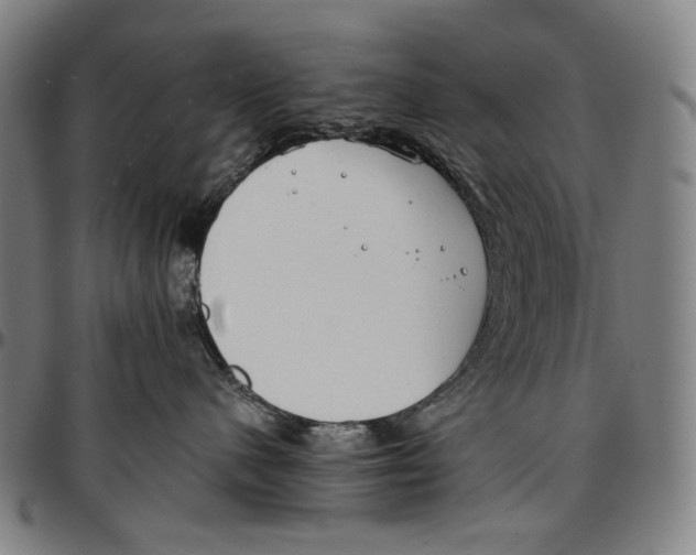 X0000096960480200802291125