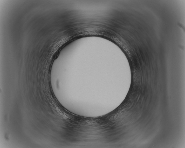 X0000096960481200802291125