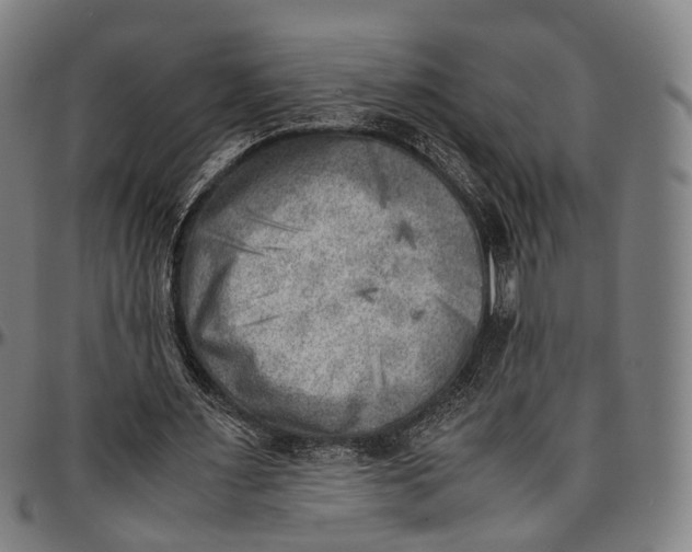 X0000096960483200802291124