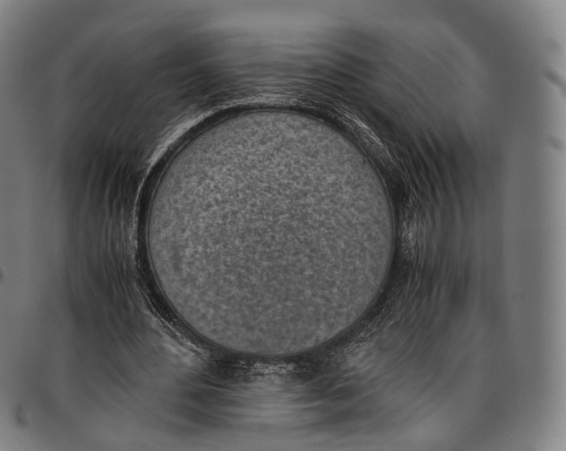 X0000096960484200802291124