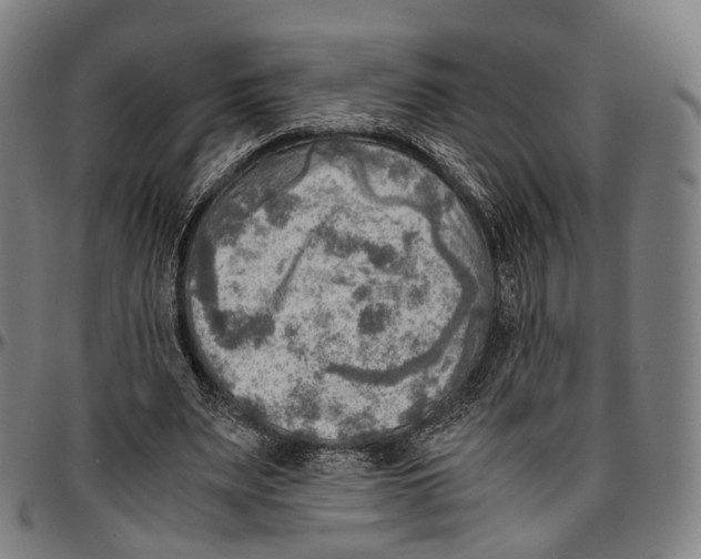 X0000096960487200802291124