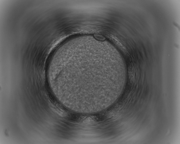 X0000096960488200802291124