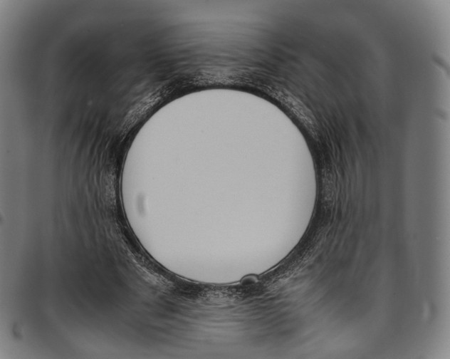 X0000096960489200802291124