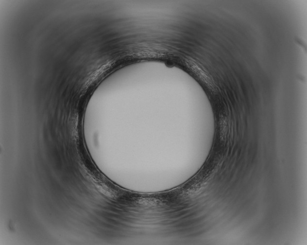 X0000096960490200802291124