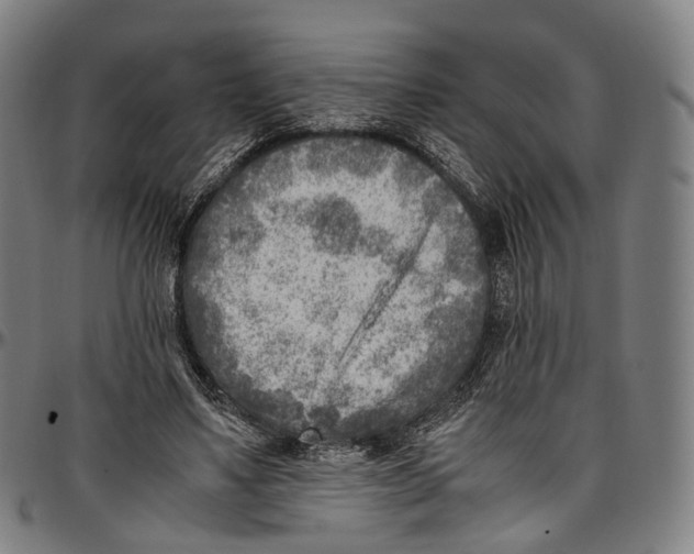 X0000096960491200802291124