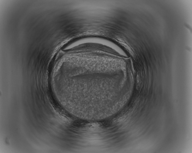 X0000096960492200802291124