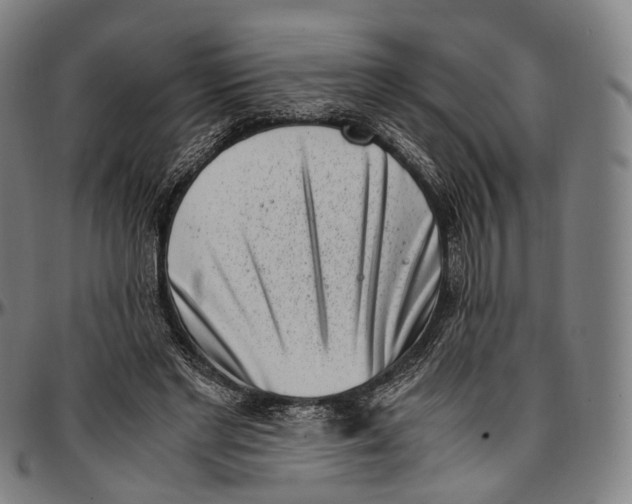 X0000096960493200802291124