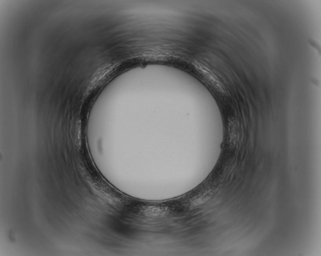 X0000096960494200802291124