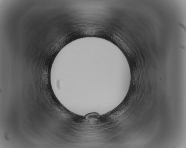 X0000096960497200802291124