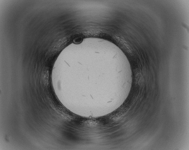 X0000096960498200802291124