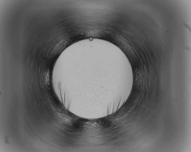 X0000096960502200802291124