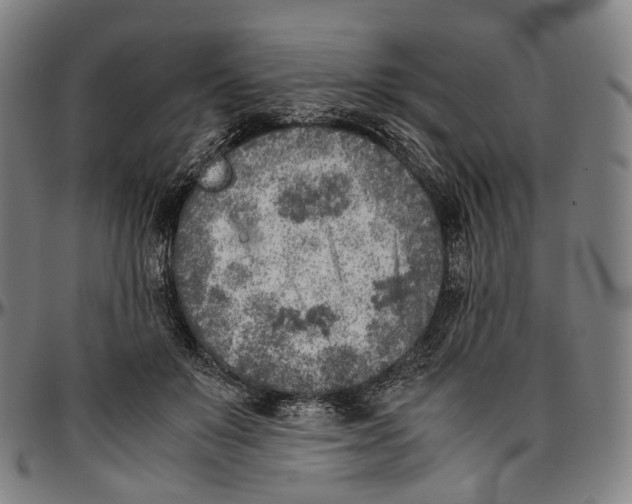 X0000096960503200802291124