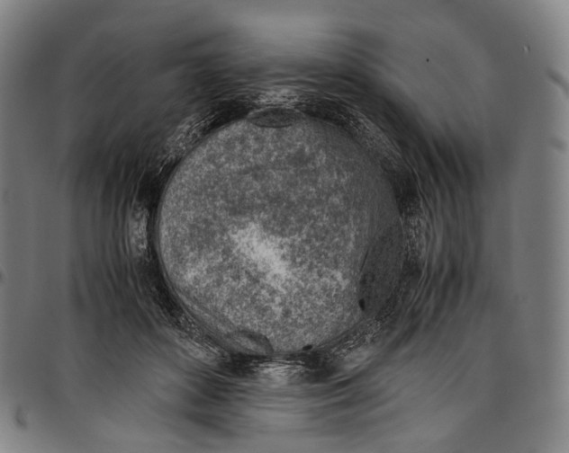 X0000096960504200802291124