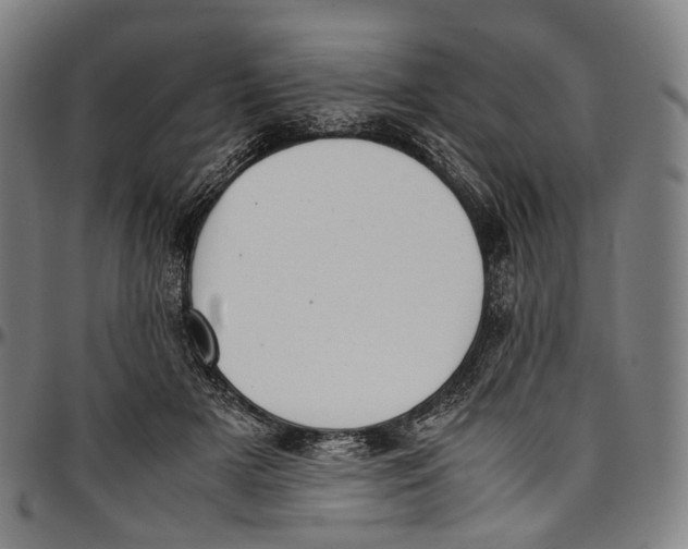 X0000096960505200802291124