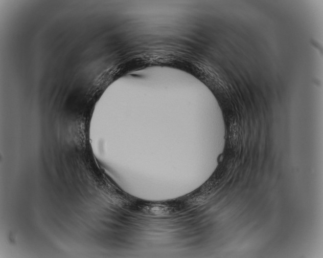 X0000096960506200802291124