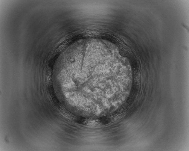 X0000096960507200802291124