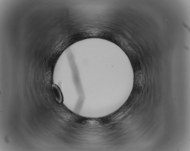 X0000096960509200802291124