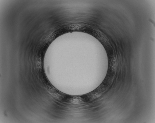 X0000096960510200802291124