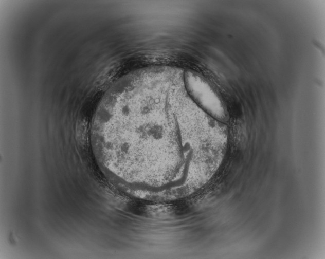 X0000096960511200802291124