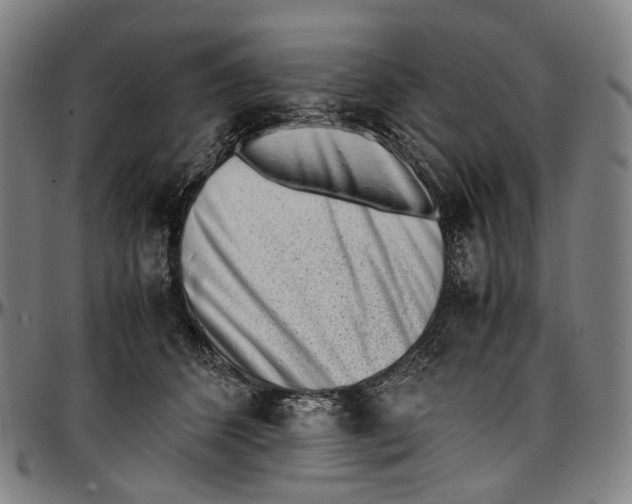 X0000096960512200802291124