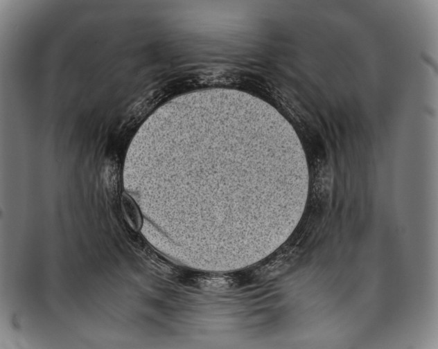 X0000096960513200802291124