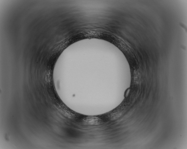 X0000096960514200802291124