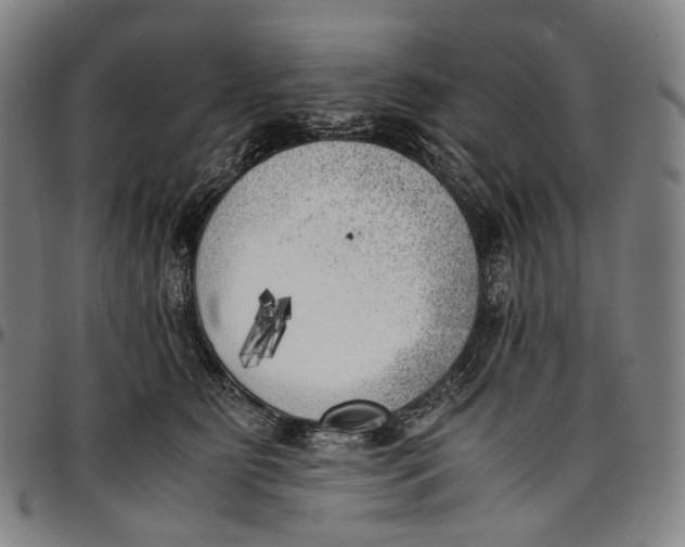 X0000096960515200802291124