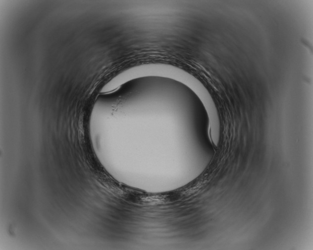 X0000096960516200802291124