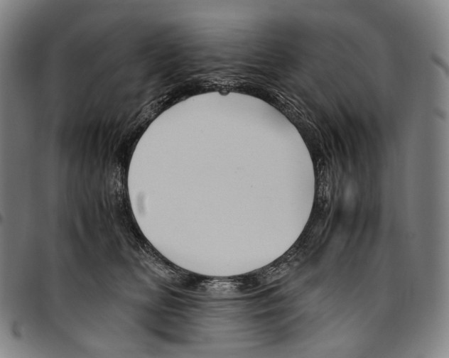 X0000096960518200802291124