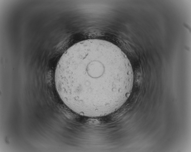 X0000096960519200802291124