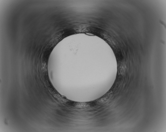 X0000096960521200802291124