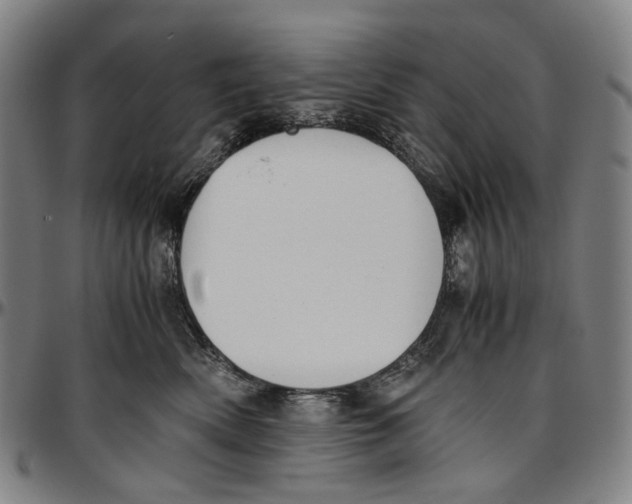 X0000096960522200802291124