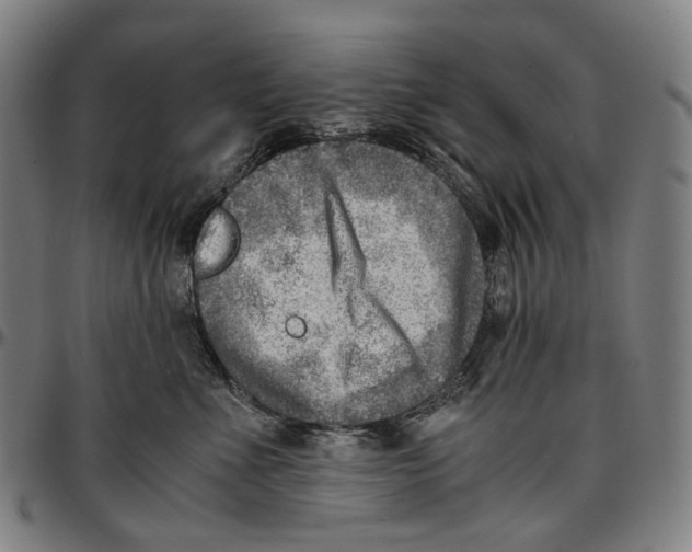 X0000096960523200802291124