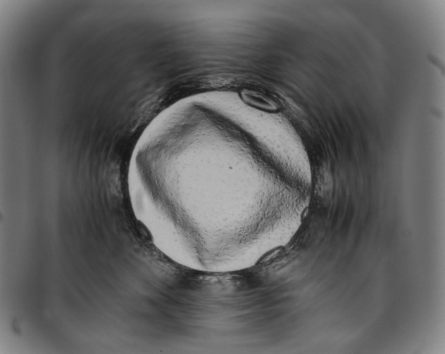 X0000096960524200802291124