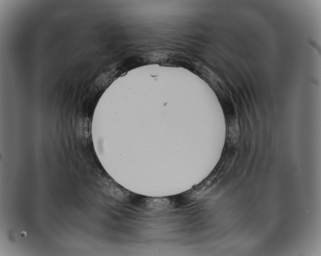 X0000096960525200802291124