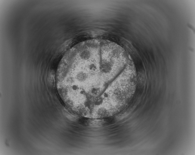 X0000096960527200802291124