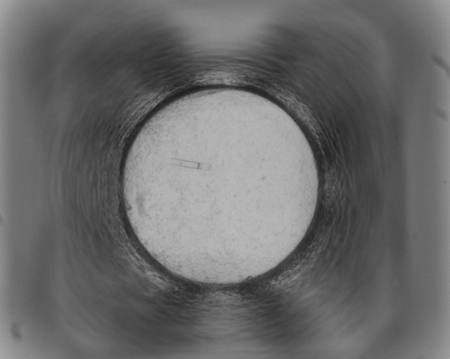 X0000096960529200802291123