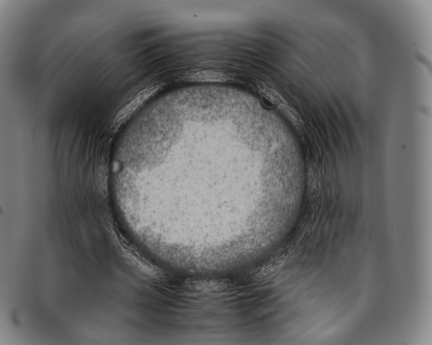 X0000096960533200802291123