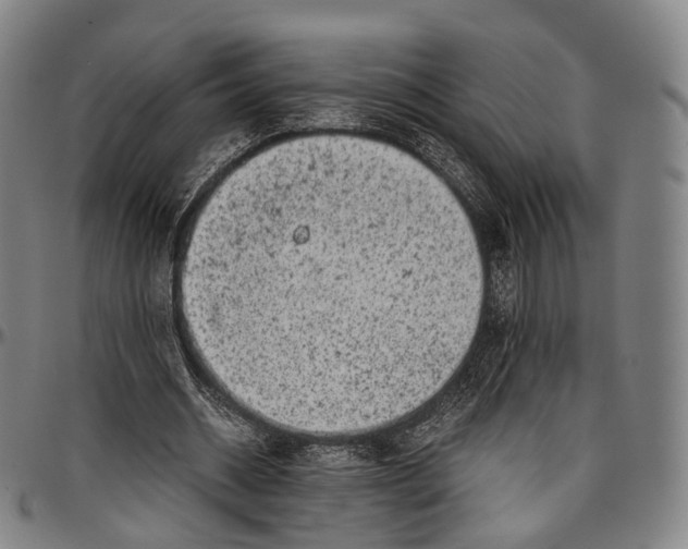 X0000096960534200802291123