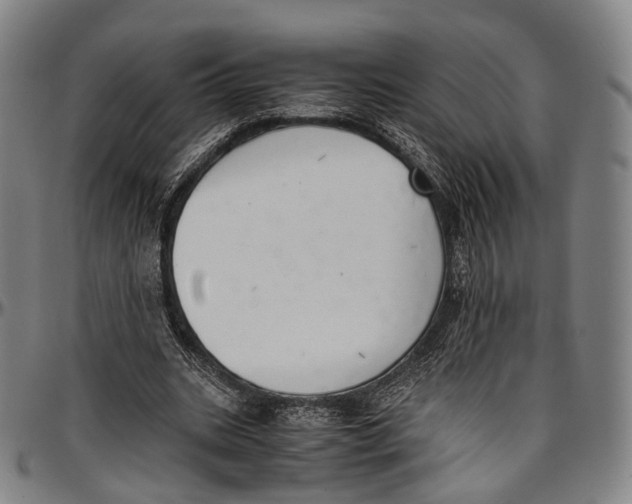 X0000096960535200802291123