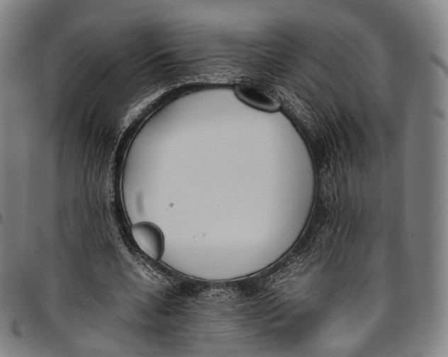 X0000096960536200802291123