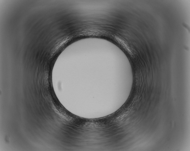 X0000096960538200802291123