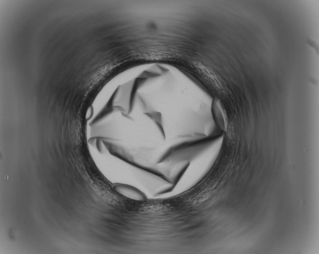 X0000096960540200802291123