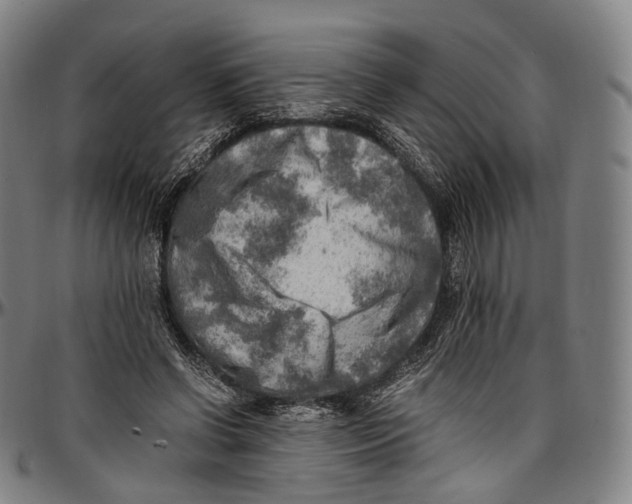 X0000096960542200802291123